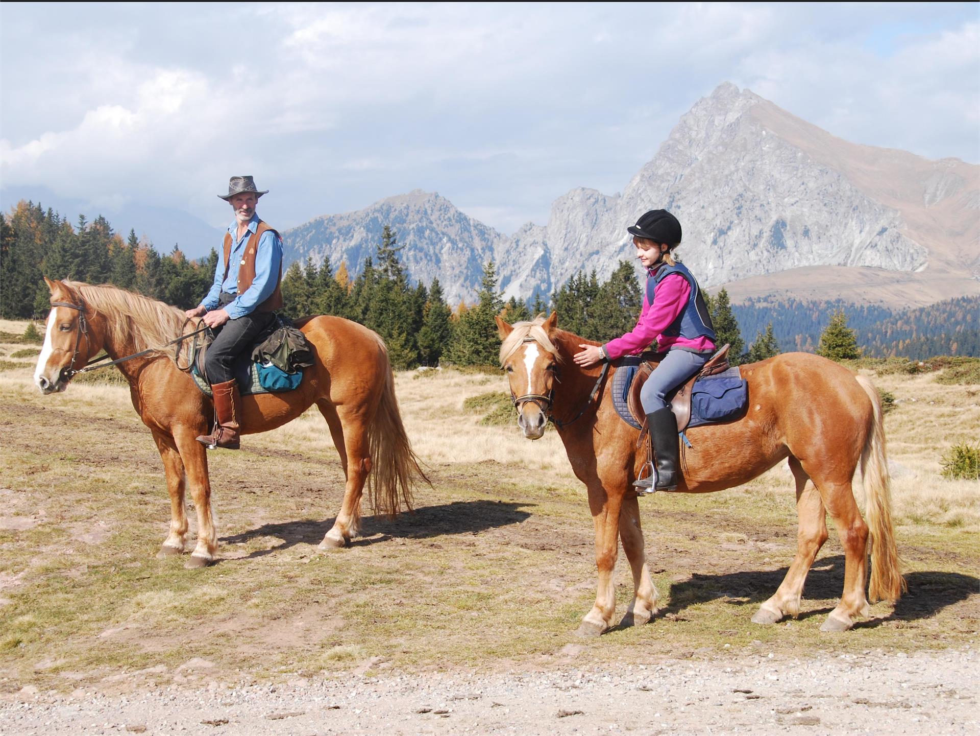 Reiterhof Oberfahrerhof Jenesien 1 suedtirol.info