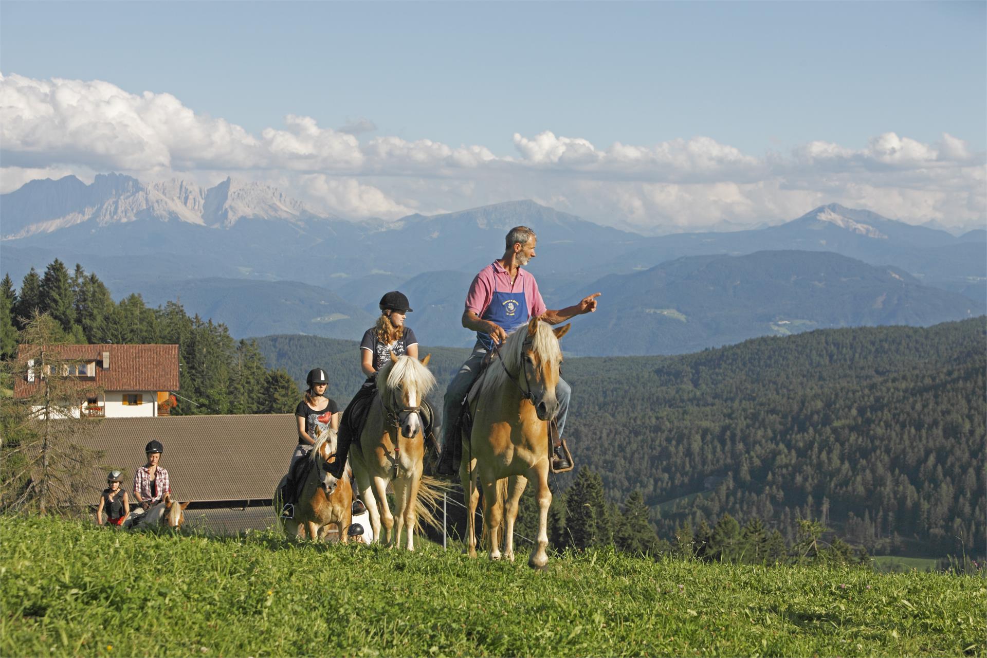 Reiterhof Oberfahrerhof Jenesien 2 suedtirol.info