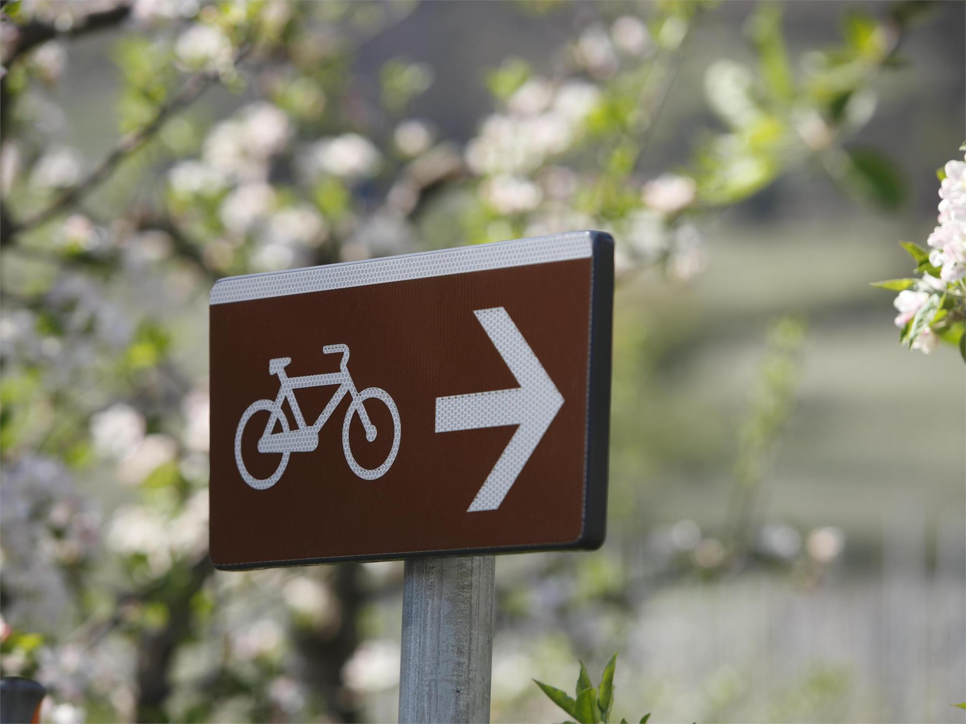 Bici alto Adige Naturno 2 suedtirol.info
