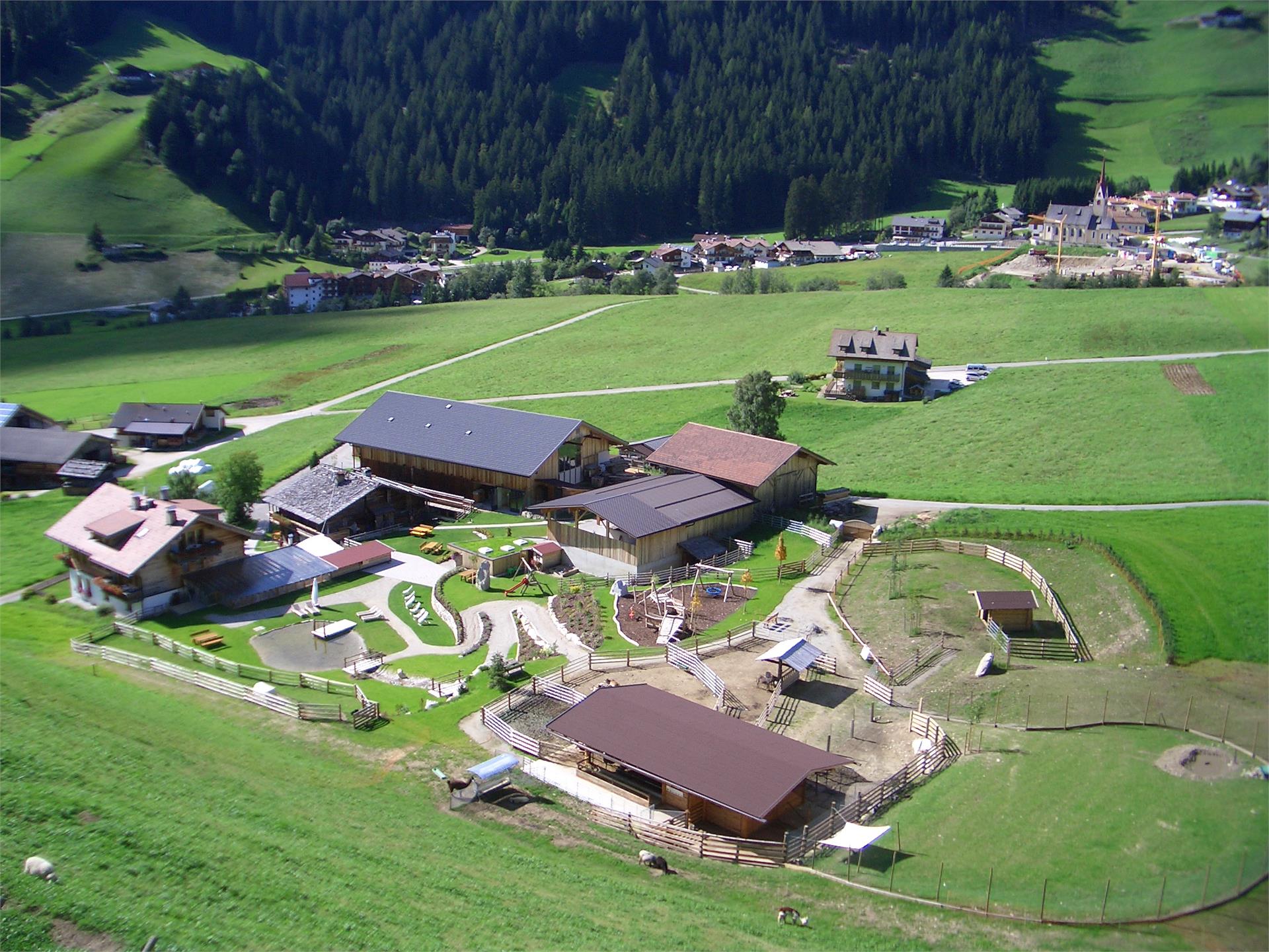 Animal Park Reierhof Gsies/Valle di Casies 1 suedtirol.info