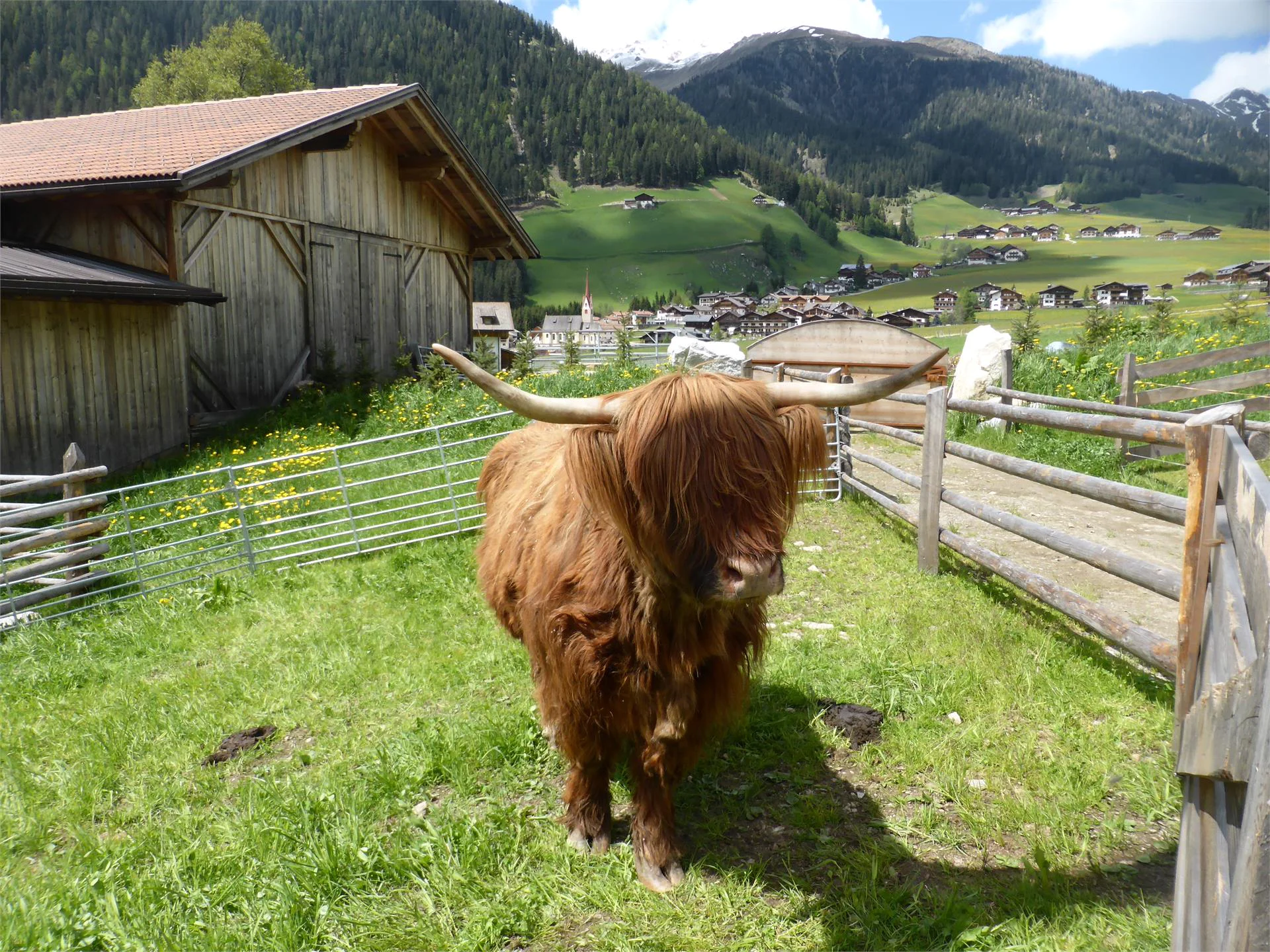 Parco faunistico Reierhof Valle di Casies 2 suedtirol.info