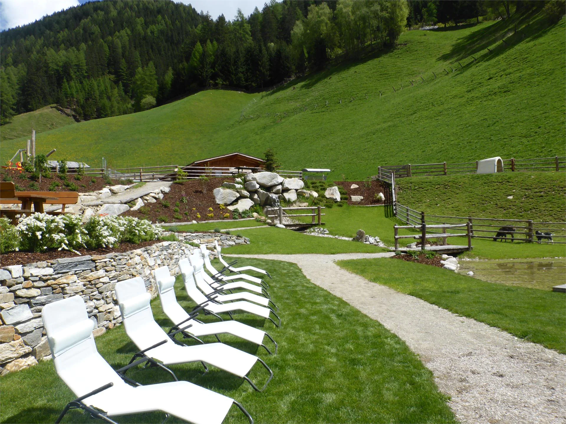 Parco faunistico Reierhof Valle di Casies 5 suedtirol.info