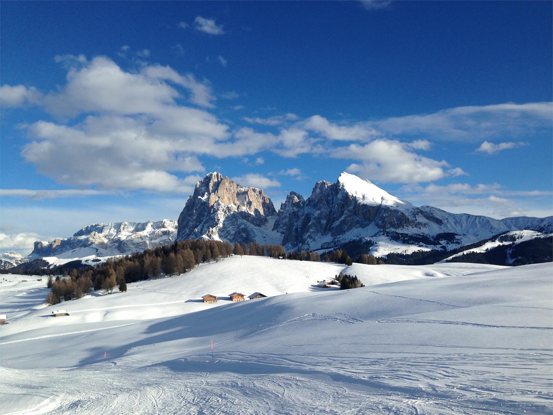 Alpe di Siusi - l'altipiano più grande d'Europa Ortisei 2 suedtirol.info