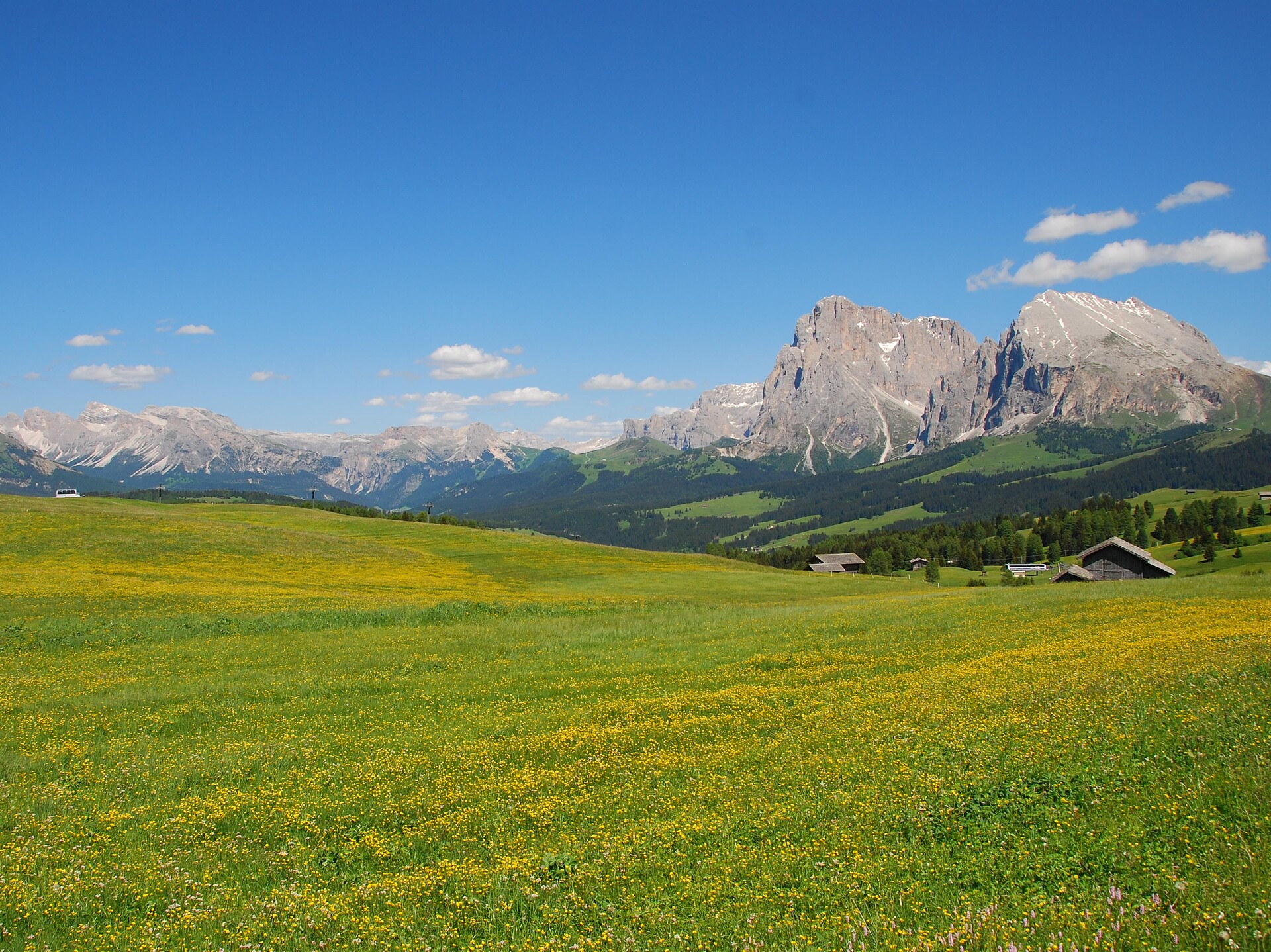 Alpe di Siusi
