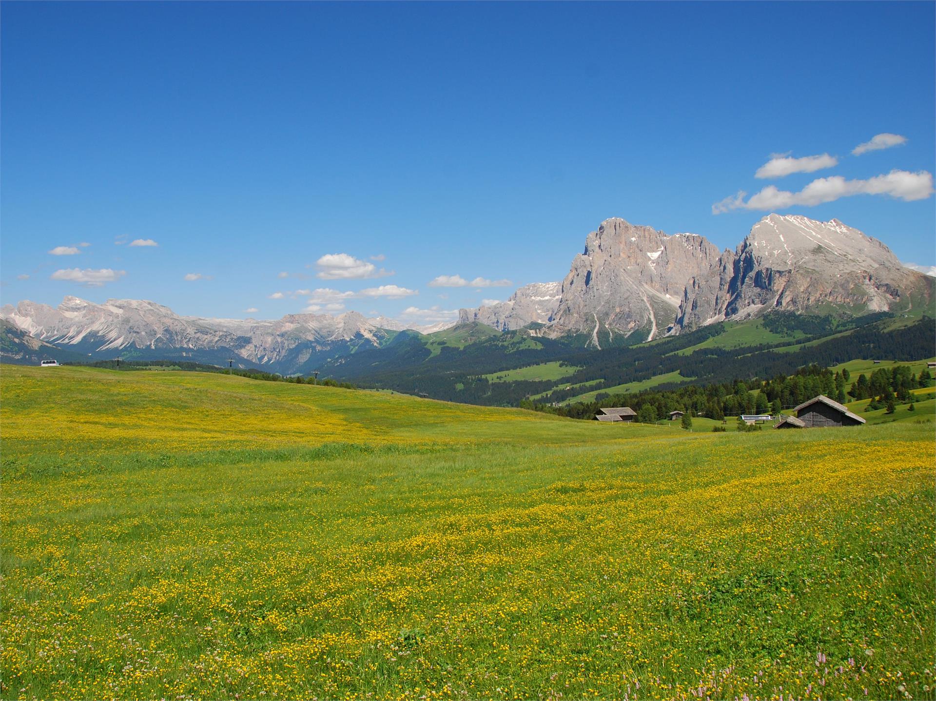 Alpe di Siusi - l'altipiano più grande d'Europa Ortisei 4 suedtirol.info