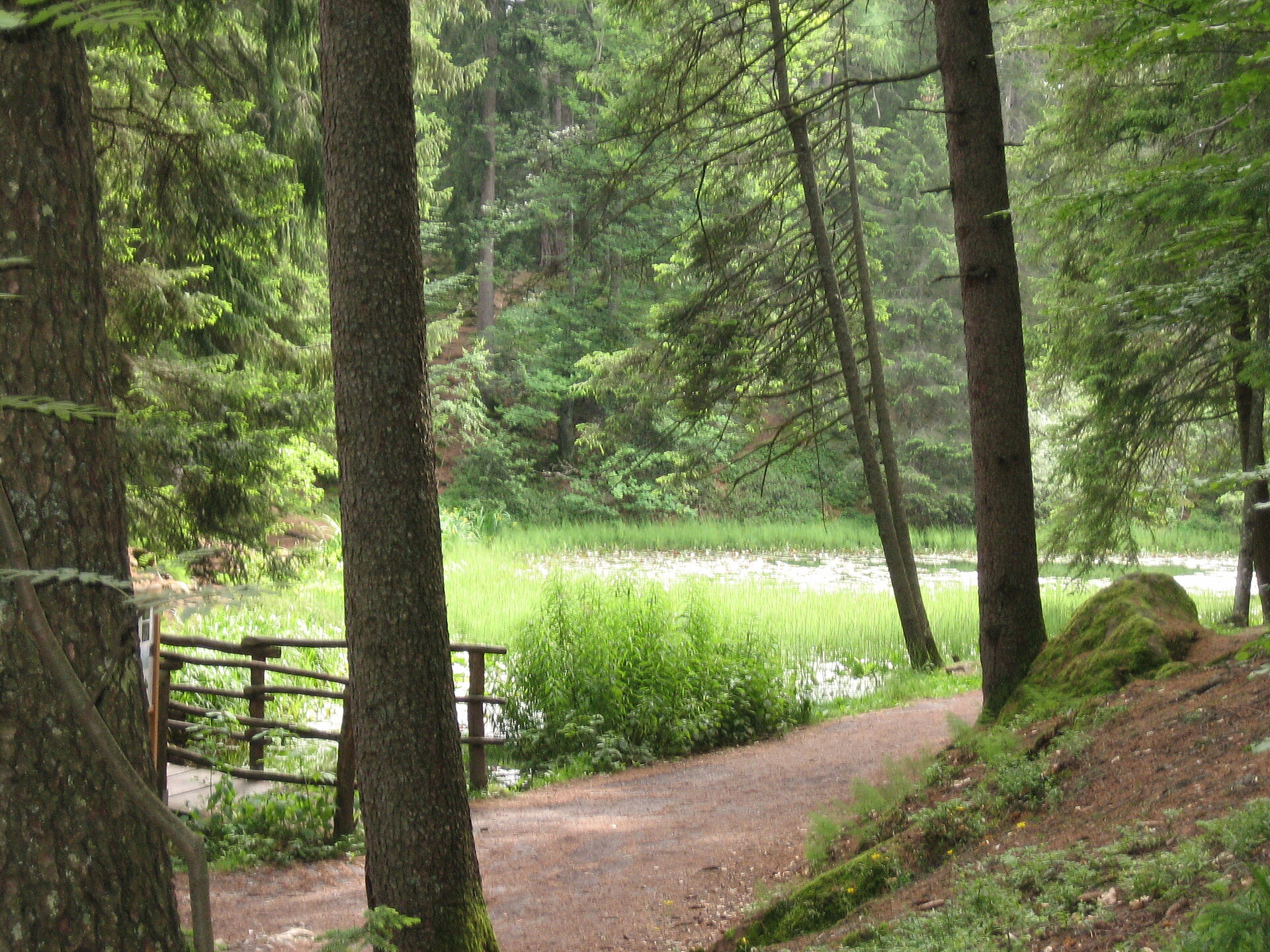 Sulfner Weiher in Hafling, Südtirol