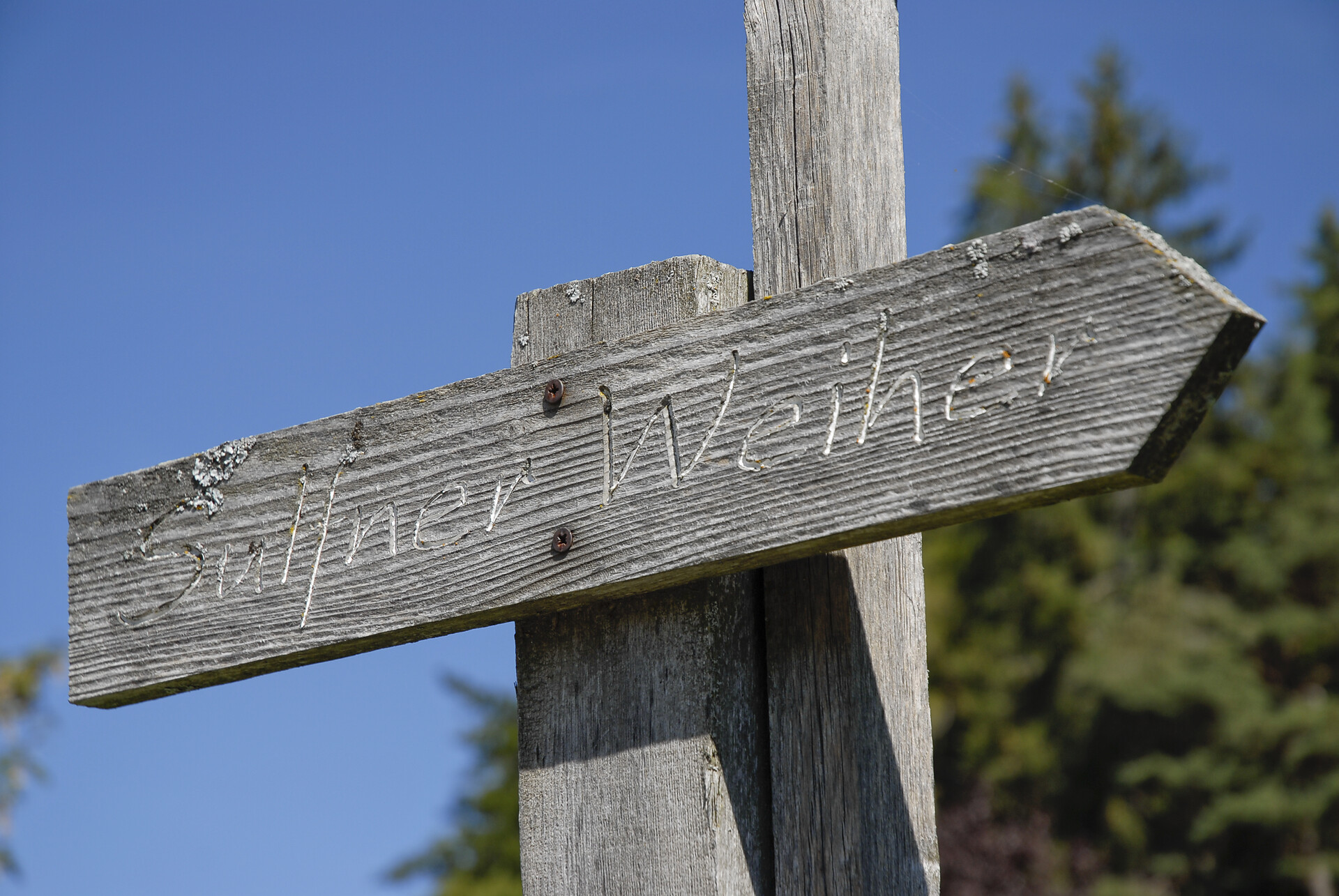 Zum Sulfner Weiher...