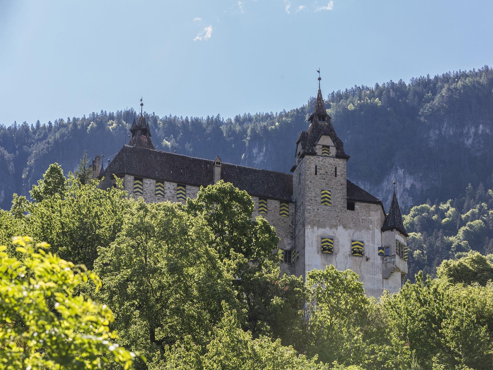 Schloss Enn Montan 1 suedtirol.info