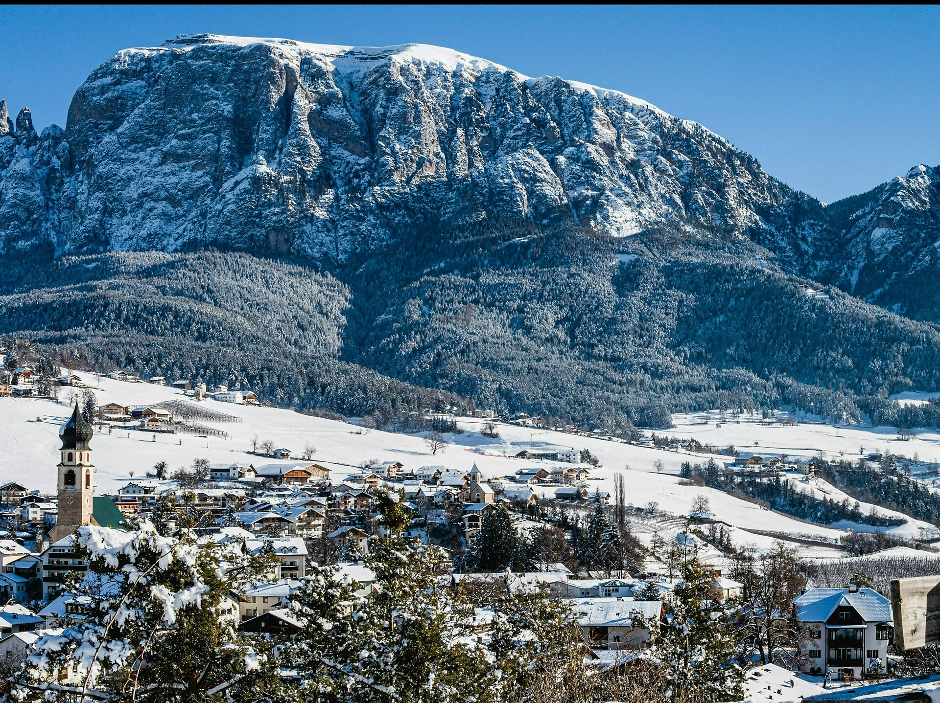 Peterbühl