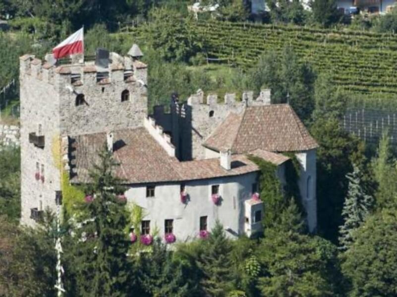 Schloss forst