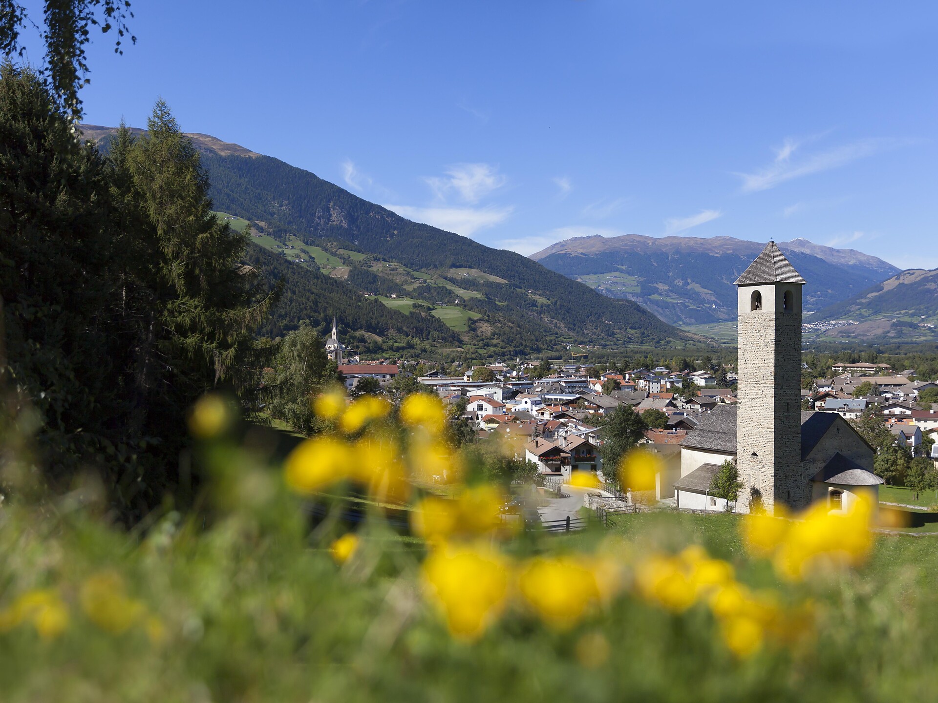 Sonta-Hons-Segn Prad am Stilfser Joch/Prato allo Stelvio 1 suedtirol.info