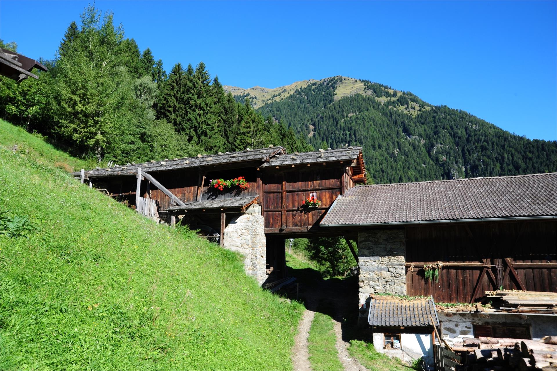 Segheria storica Brunner a Vernurio Rifiano 1 suedtirol.info
