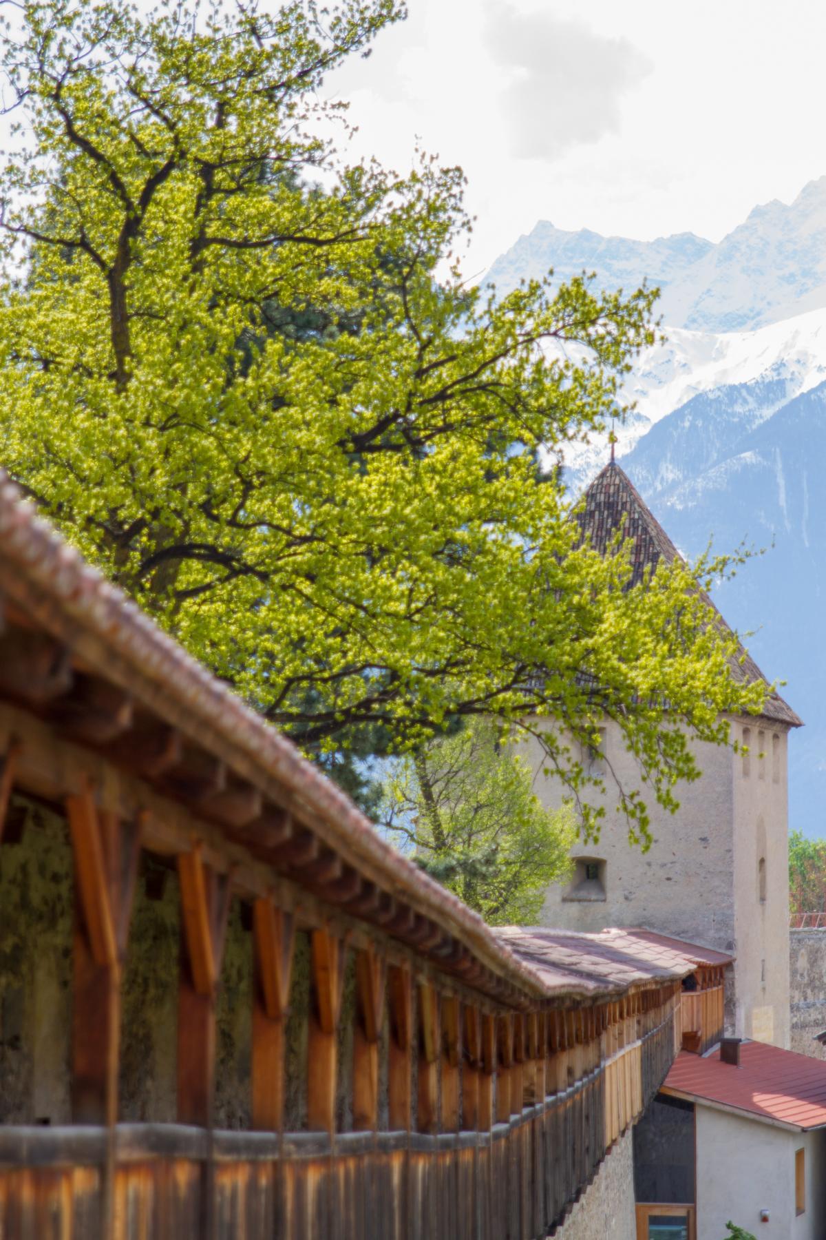 Schludernser Torturm Glurns 2 suedtirol.info