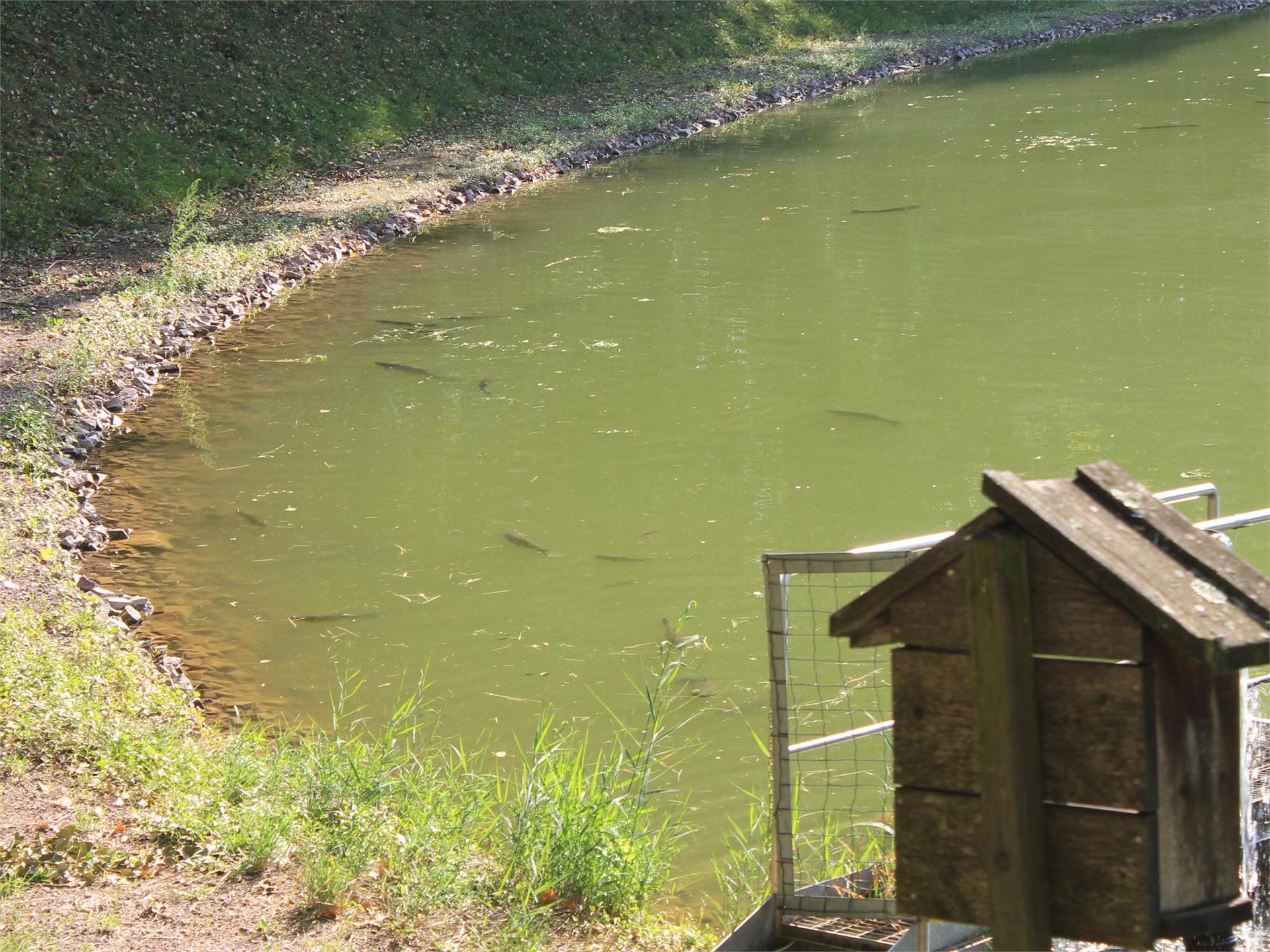 Fishing Branzoll/Bronzolo Bronzolo/Branzoll 2 suedtirol.info