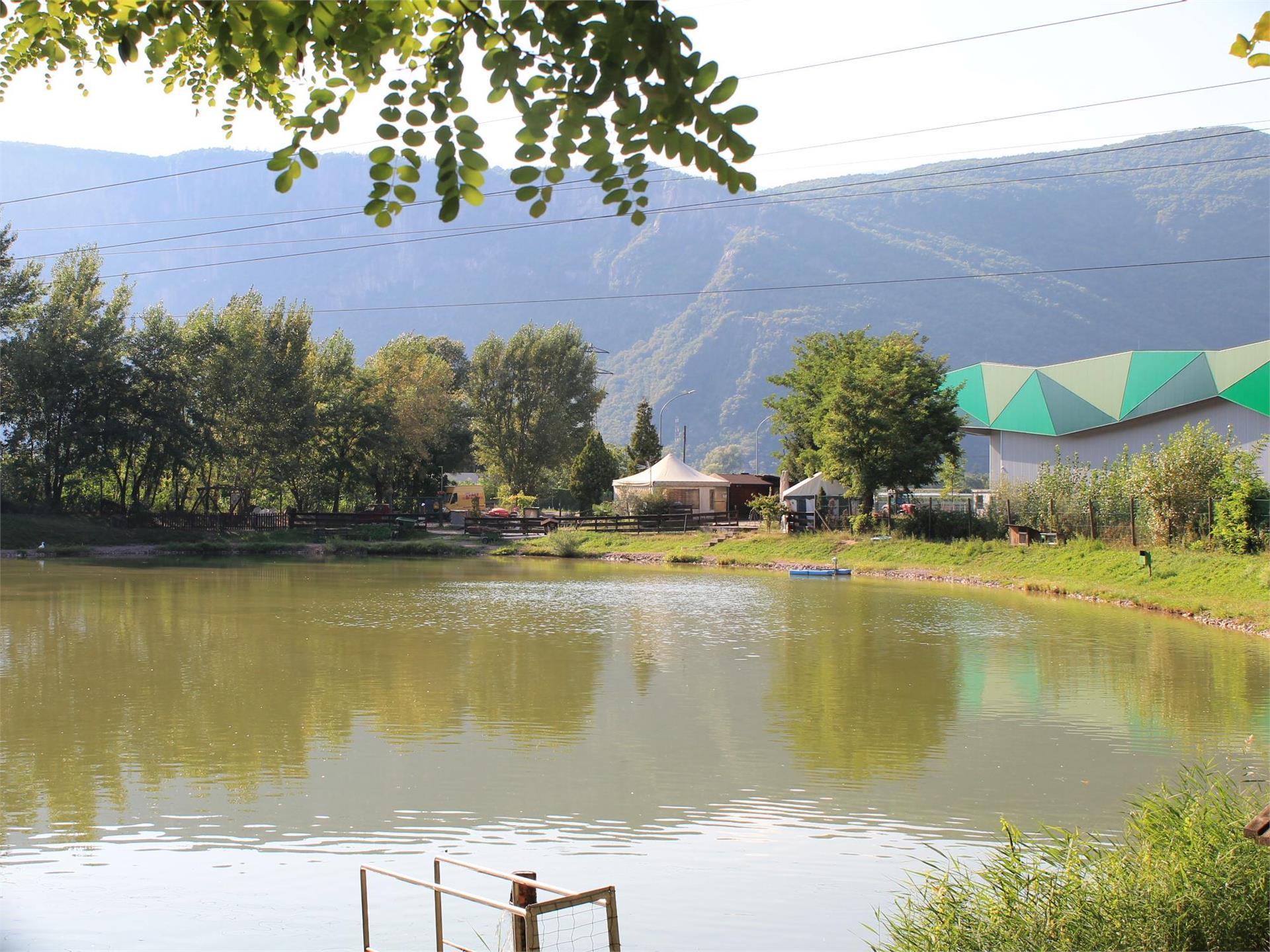 Fishing Branzoll/Bronzolo Bronzolo/Branzoll 1 suedtirol.info