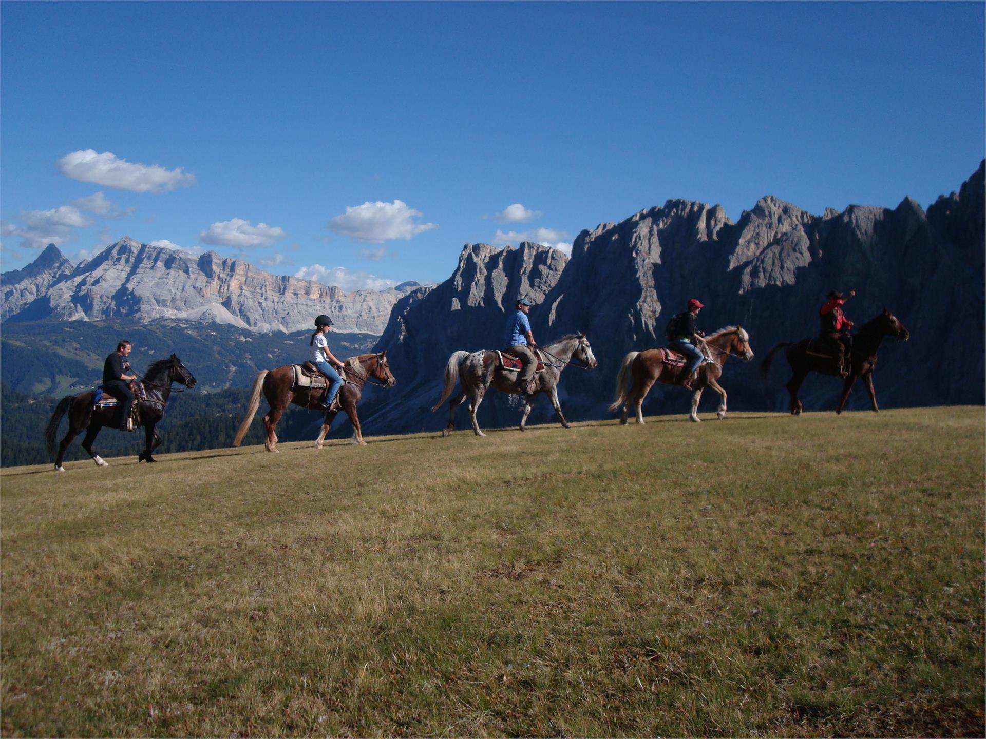 Sitting Bull Ranch Badia 1 suedtirol.info