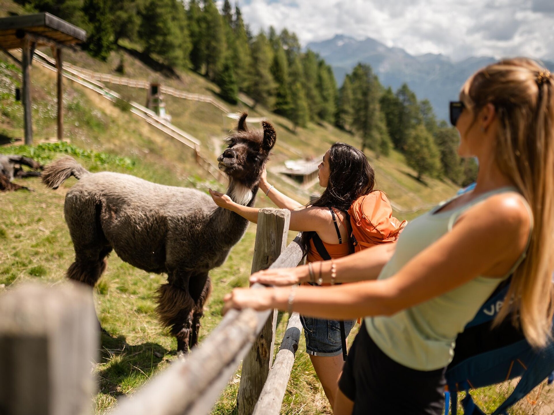 Zoo Rossy Park Ratschings/Racines 1 suedtirol.info