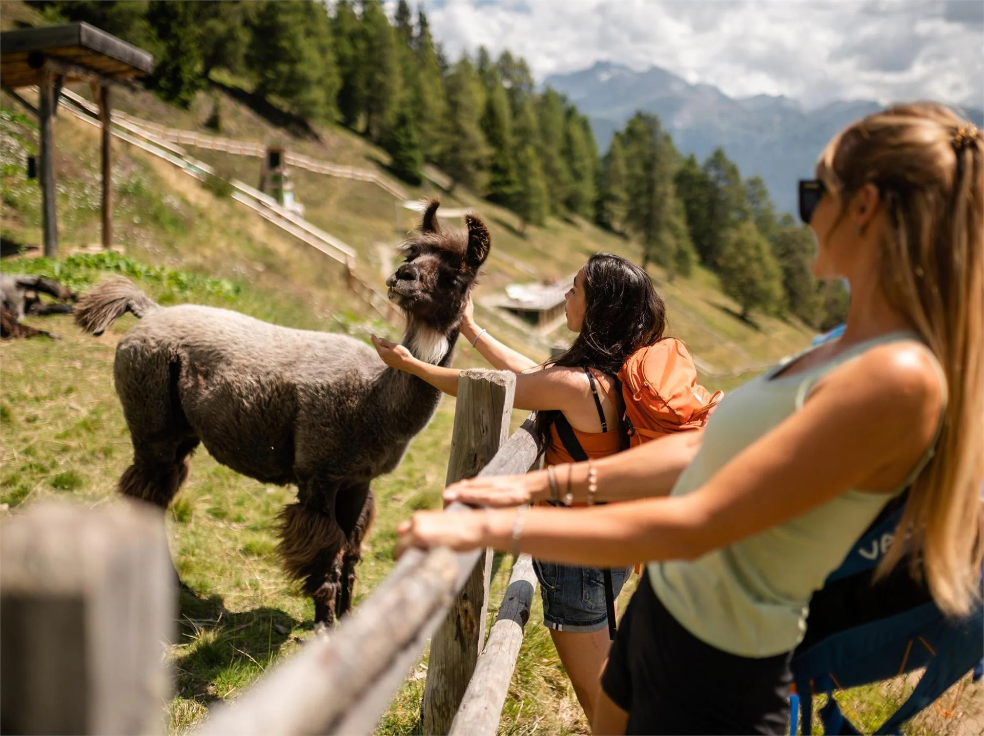 Mini zoo Rossy Park Racines 1 suedtirol.info