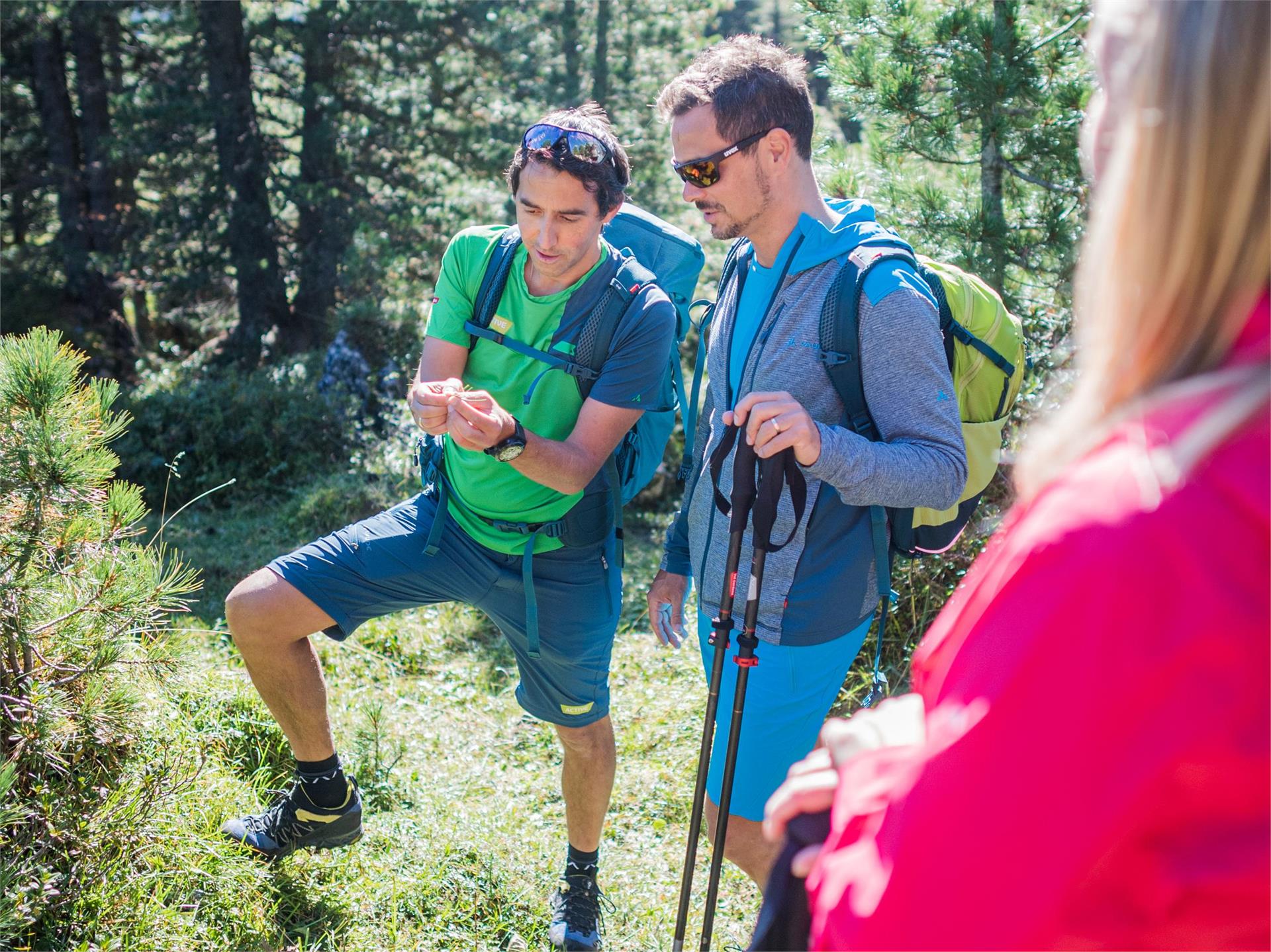 Stuflesser Patrick - hiking guide - International Mountain Leader Urtijëi/Ortisei 5 suedtirol.info