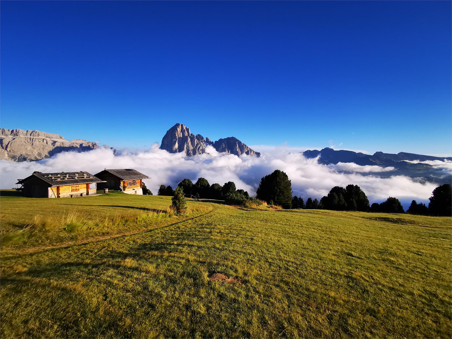 Stuflesser Patrick - hiking guide - International Mountain Leader Urtijëi/Ortisei 7 suedtirol.info