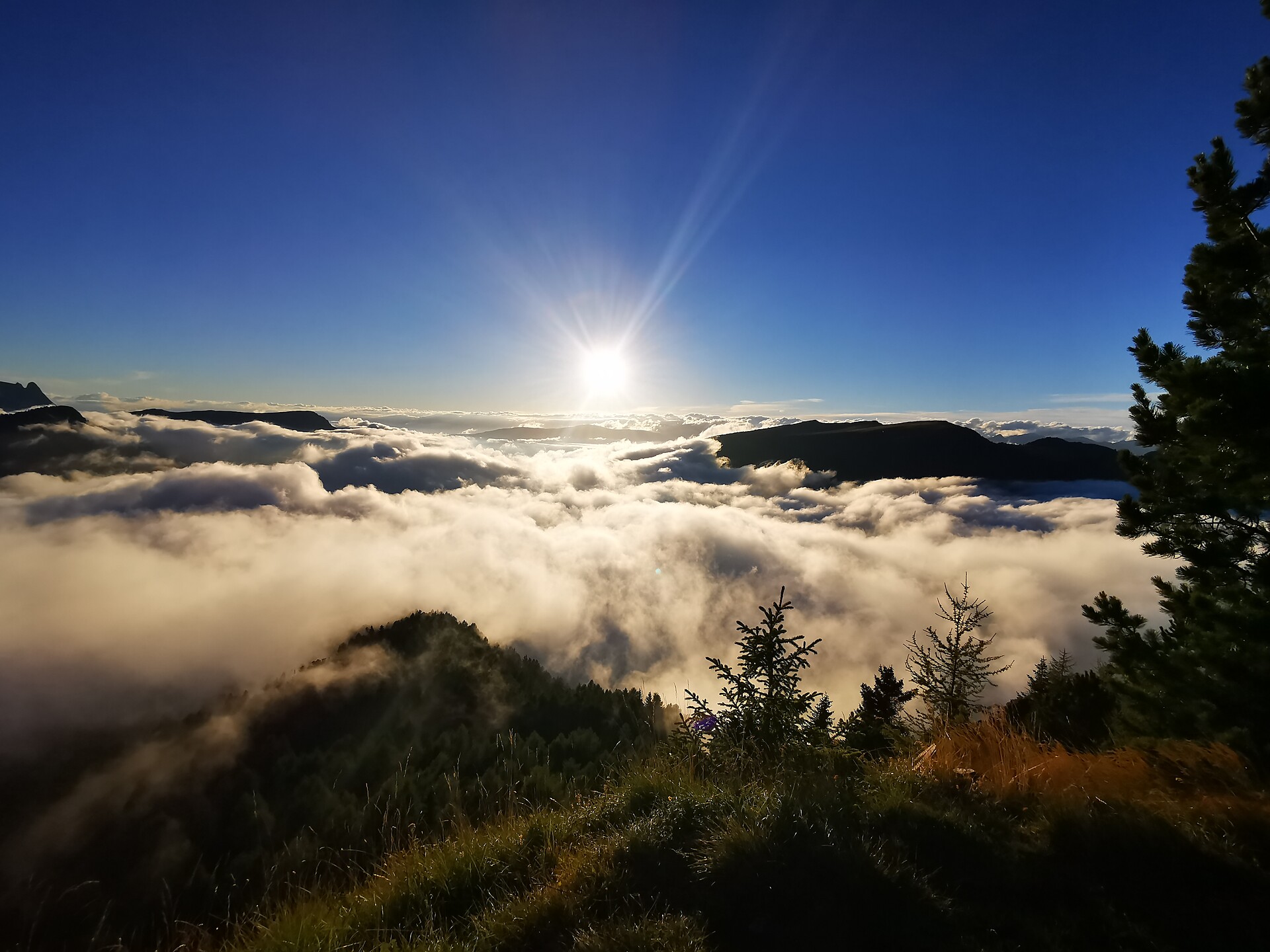 Certified hiking guide of South Tyrol and Dolomites