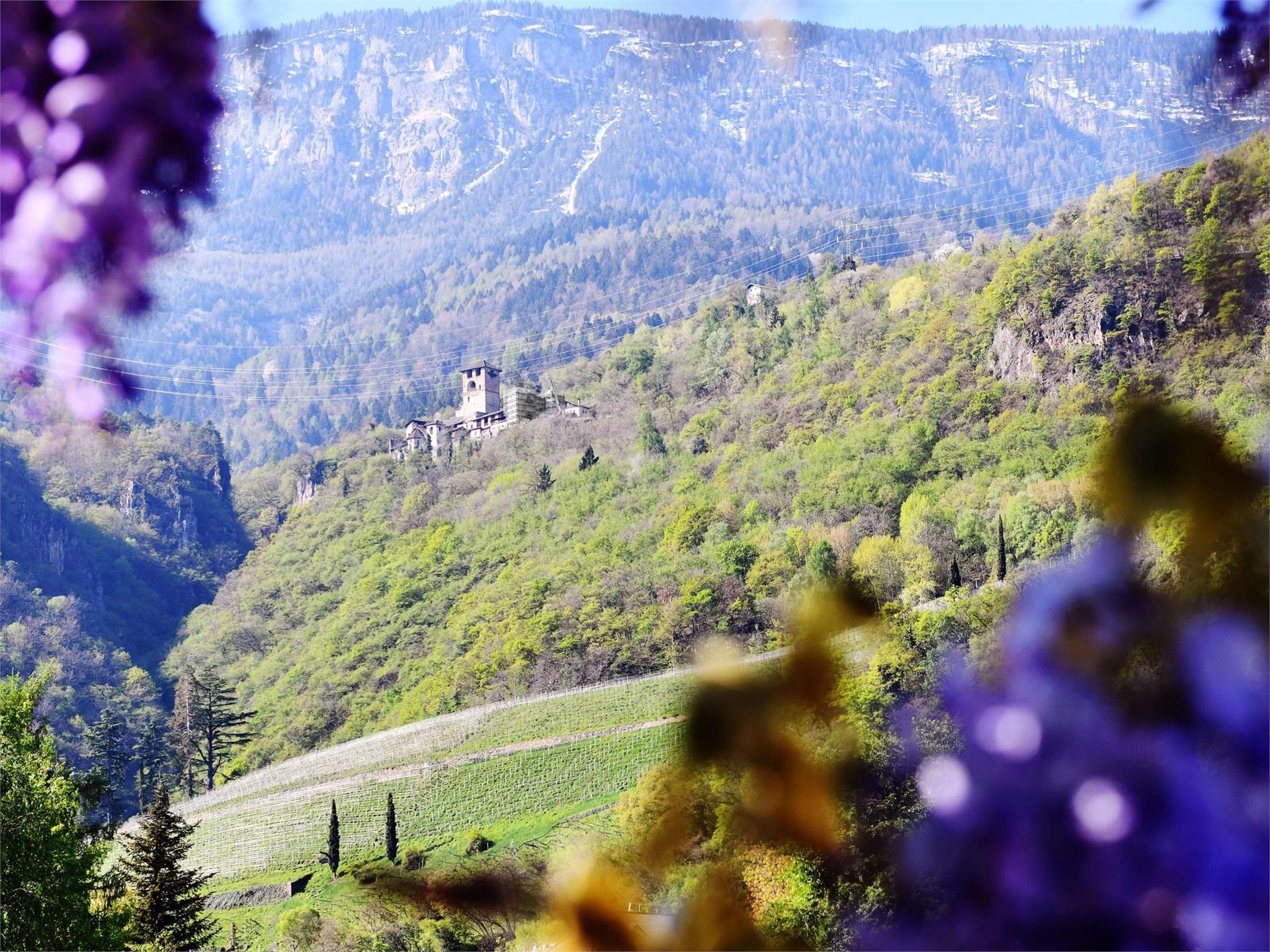 Castle Payersberg Nals/Nalles 2 suedtirol.info
