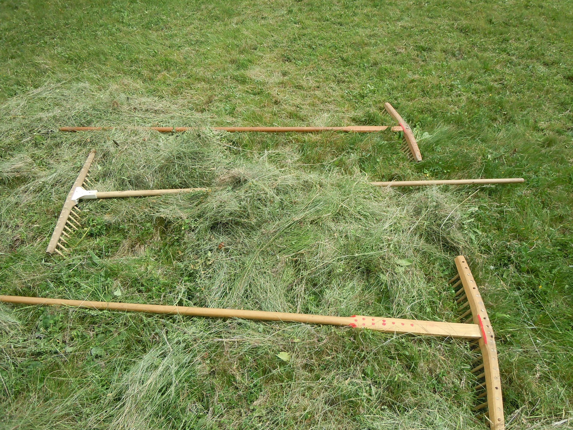 South Tyrol Mountain Pasture Hay