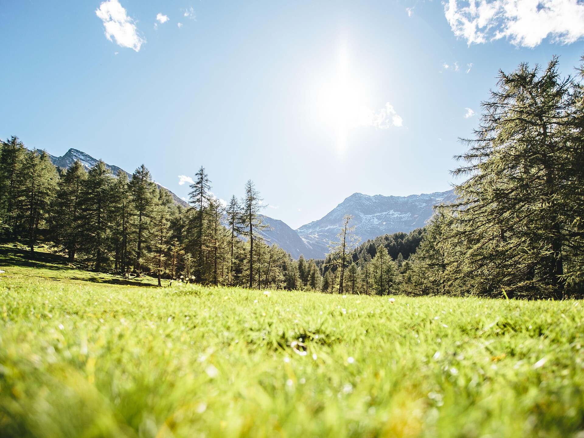SPIDERPARK Moso in Passiria 16 suedtirol.info