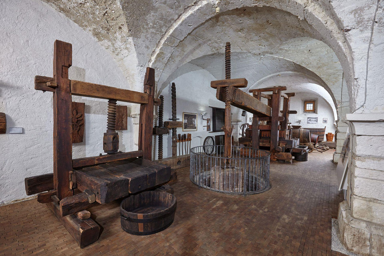 Museo provinciale del vino