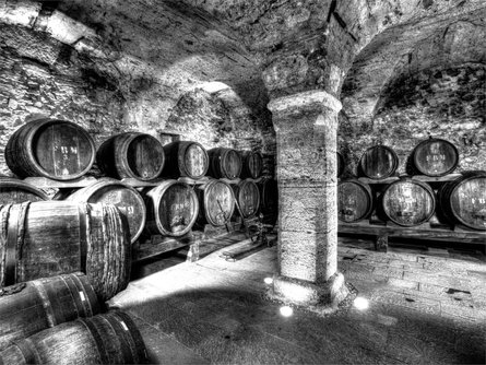 South Tyrolean Wine Museum  5 suedtirol.info