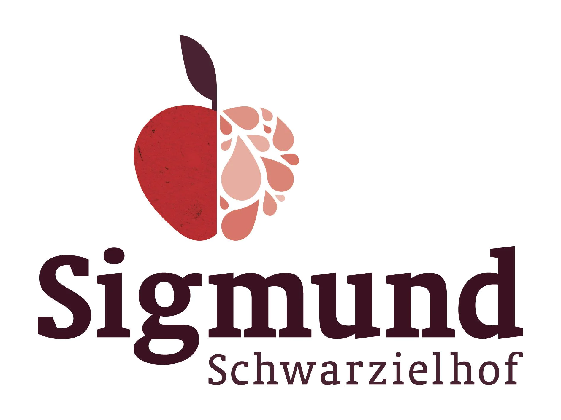 Schwarzielhof  1 suedtirol.info