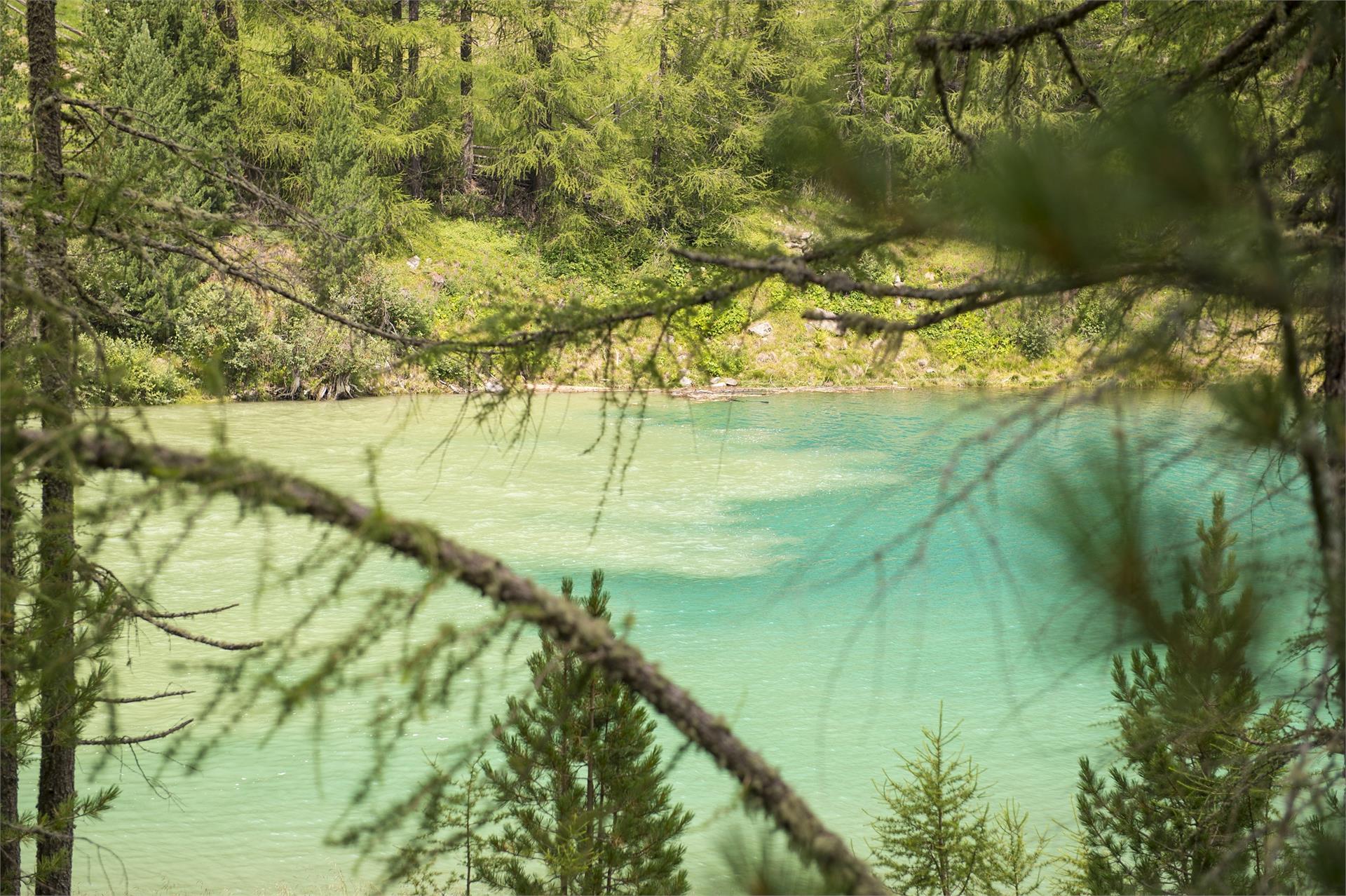 Vernagt reservoir Schnals/Senales 4 suedtirol.info