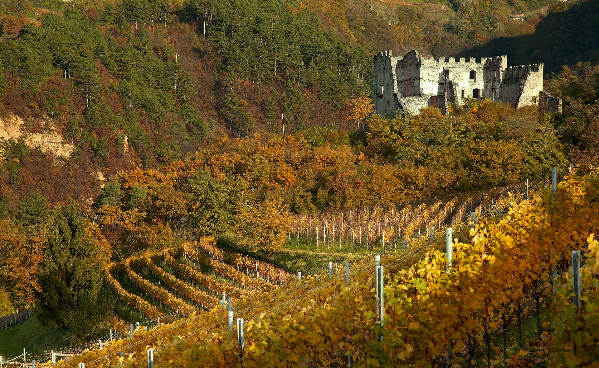 Rovine del Castel Caldiff