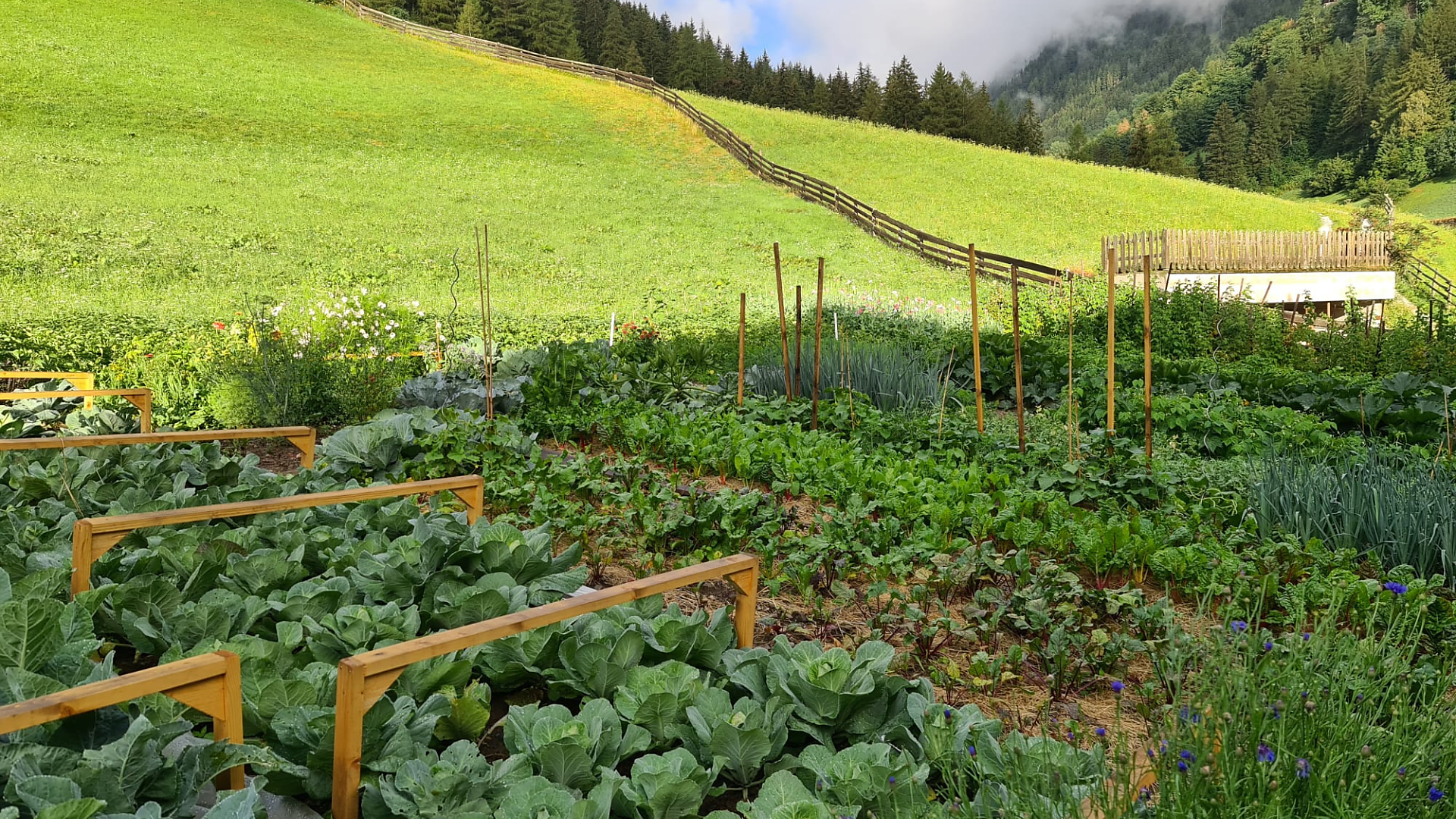 Sennerhof - Sterzing und Umgebung - #6 - suedtirol.info