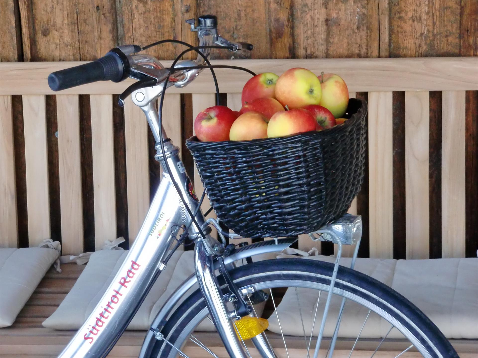 Bici Alto Adige Caldaro sulla Strada del Vino 1 suedtirol.info