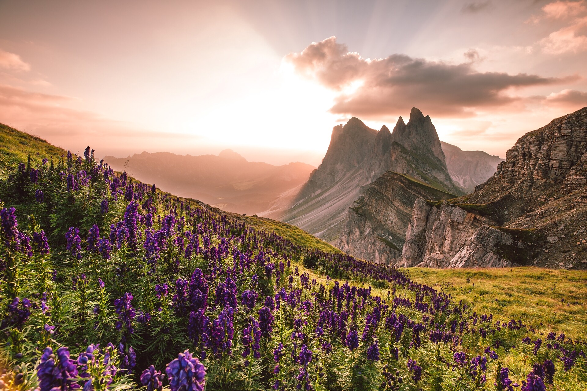 Seceda