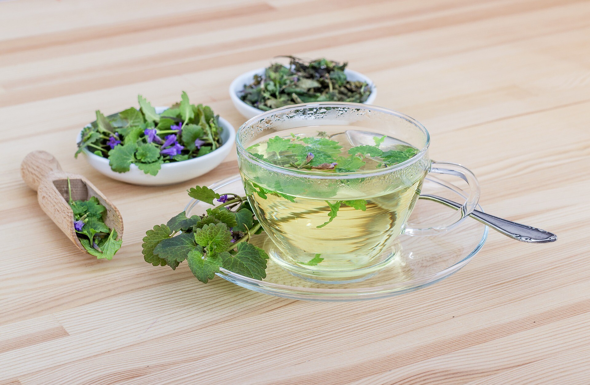Tisane alle erbe