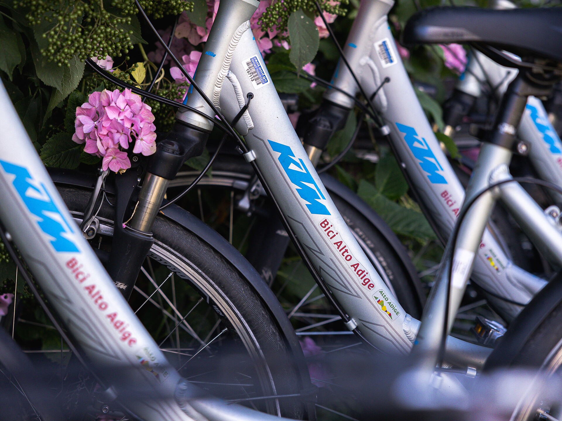 Bici Alto Adige