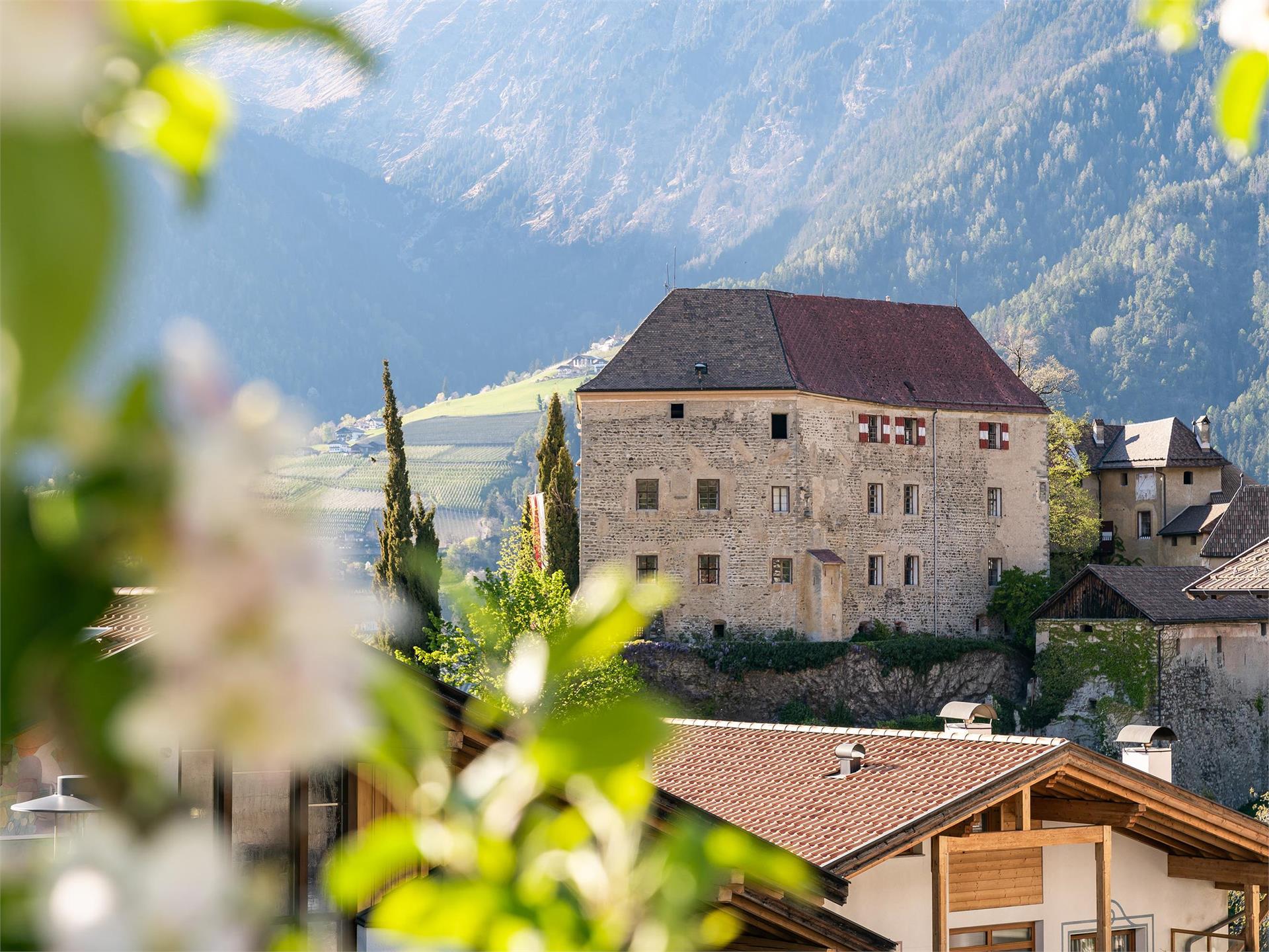 Schenna Castle Schenna/Scena 1 suedtirol.info