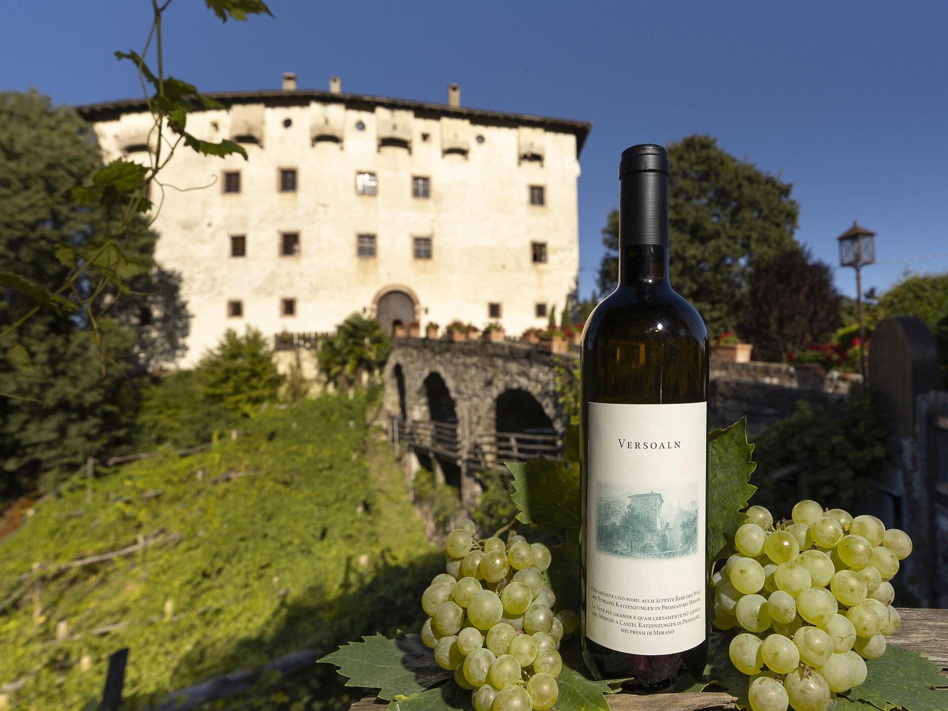Castel Katzenzungen a Prissiano - Merano e dintorni - #6 - suedtirol.info
