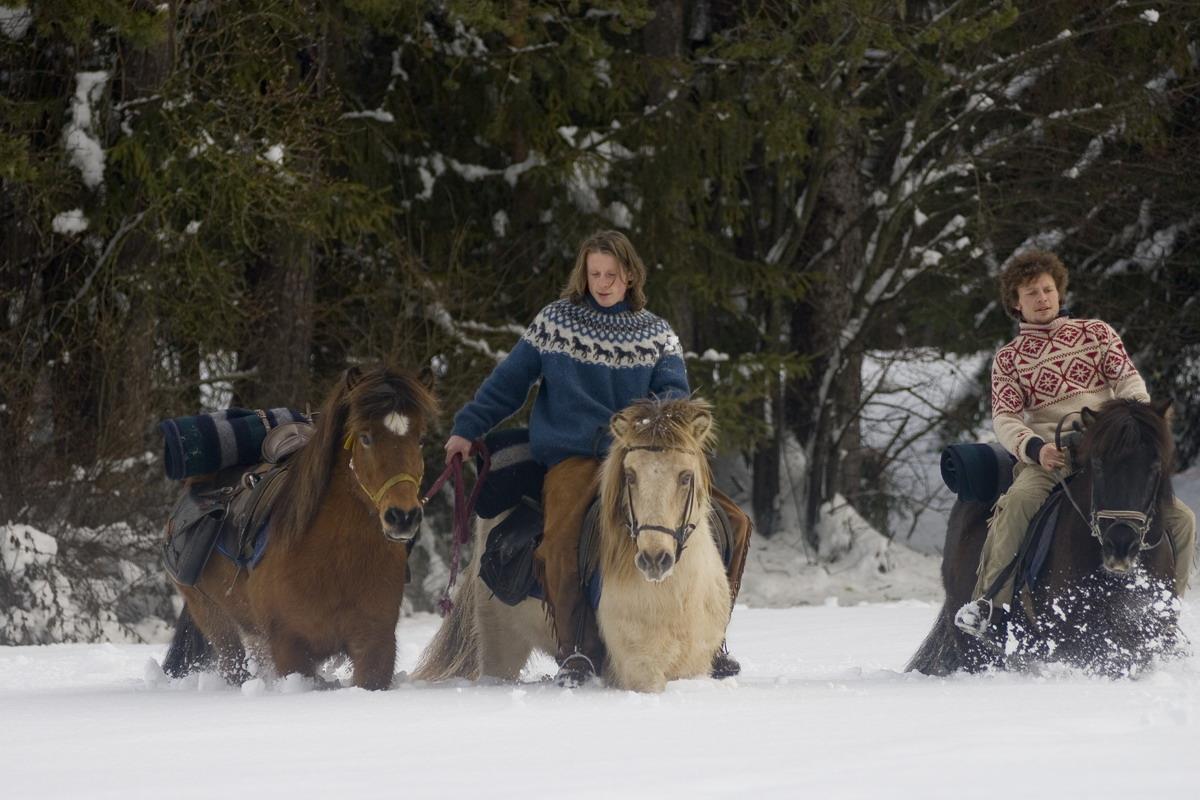 Schritt für Schritt - Horses Mareo San Vigilio 2 suedtirol.info