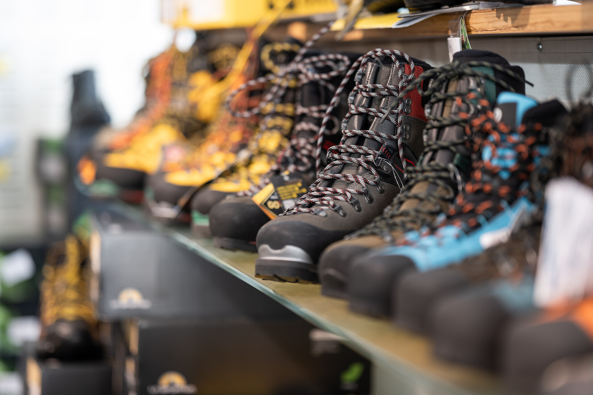 Hiking shoes