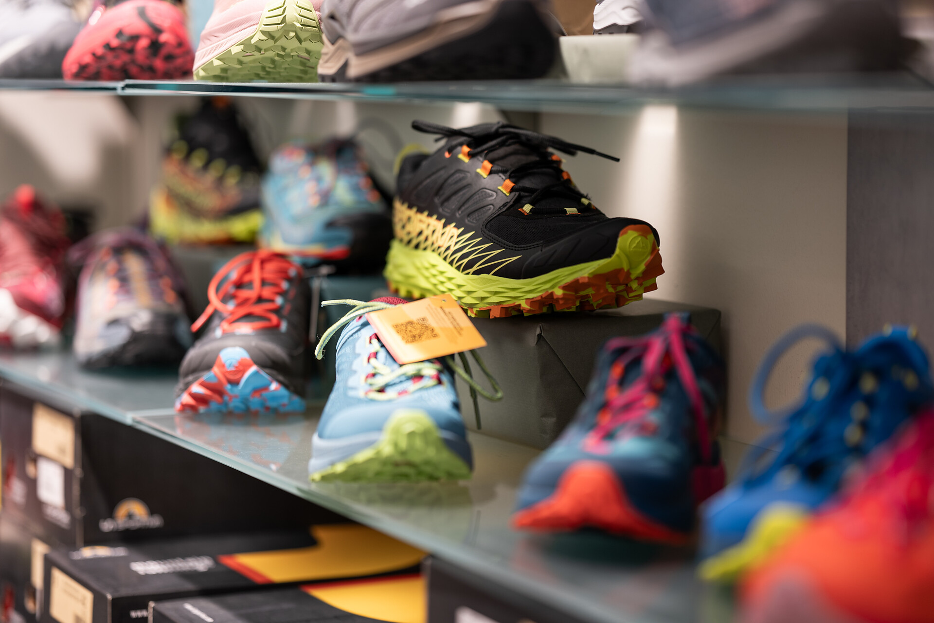 Hiking shoes