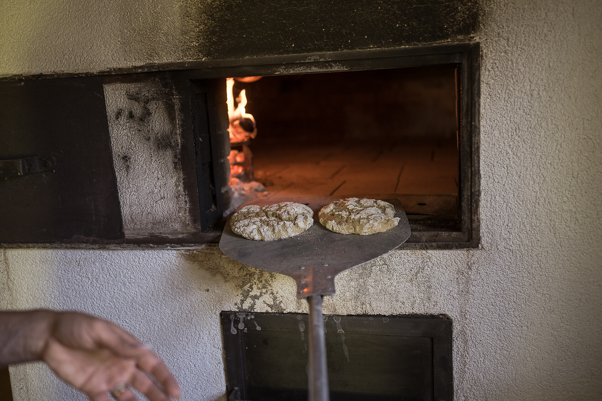 Bread baking