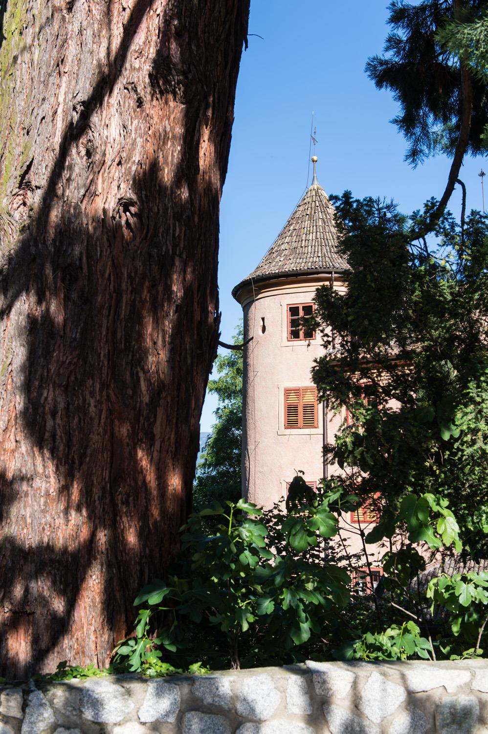 Spauregg Castle Partschins/Parcines 2 suedtirol.info