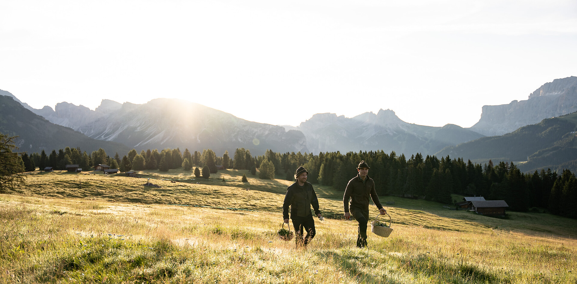 Seiser Alm wild craft