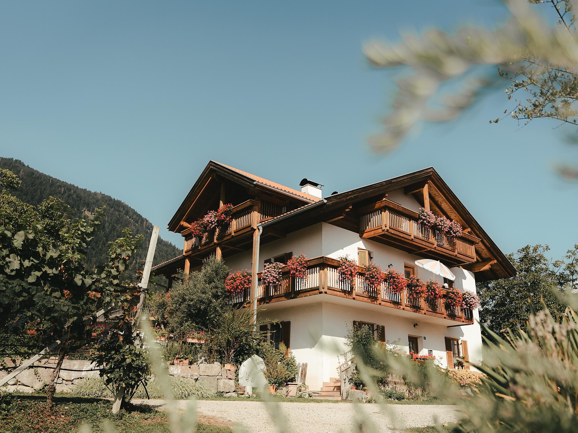 Stettnerhof Lana 4 suedtirol.info