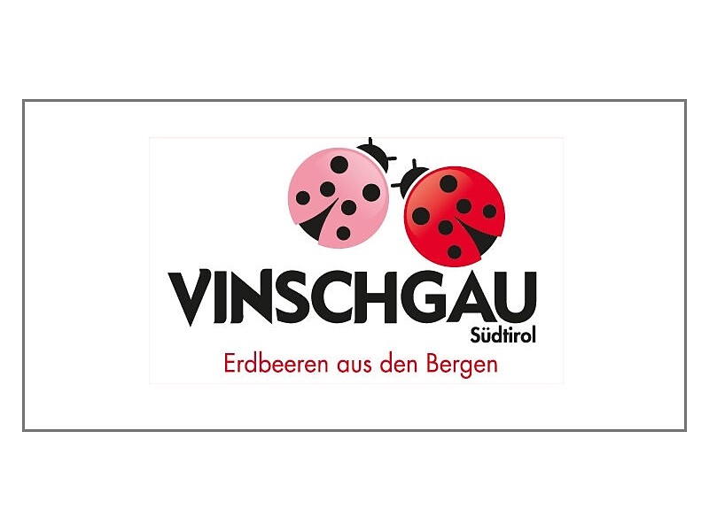 Strawberry world - Vinschgau/Val Venosta - #1 - suedtirol.info