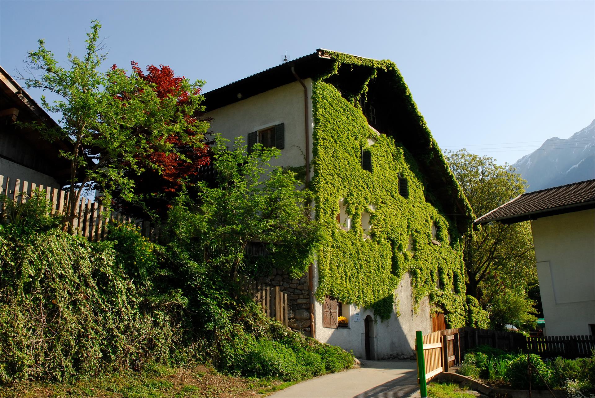 Schildhöfe Farms St.Leonhard in Passeier/San Leonardo in Passiria 4 suedtirol.info