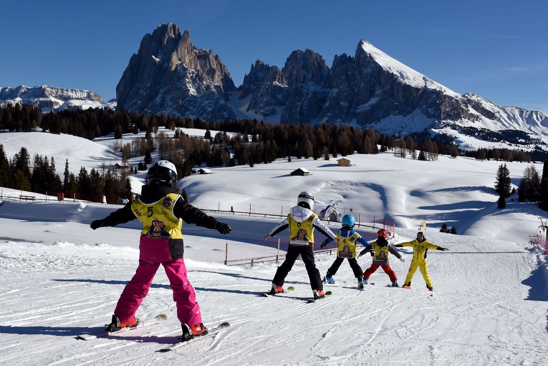 Skisaslong